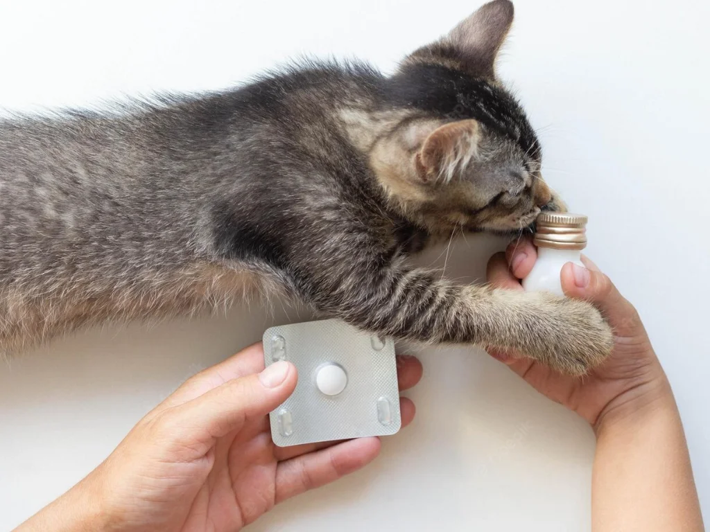 koshka-i-tabletki Гельминтоз у кошек