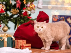 Кошка рядом с новогодними подарками